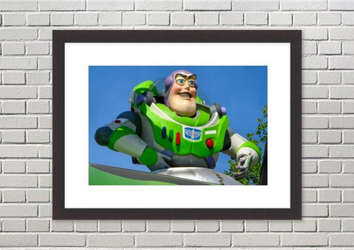 Framed Print